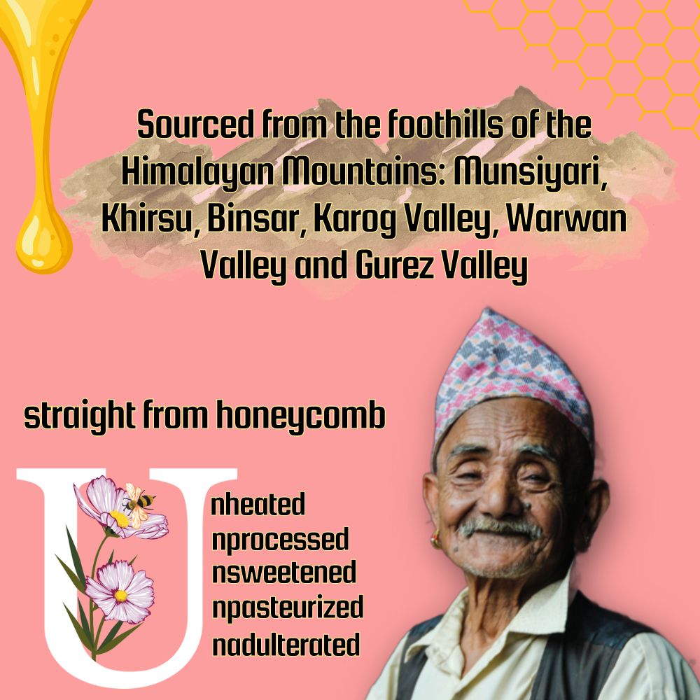 Seven Sages Himalayan Multi-flora Raw Honey: Jar of 500g