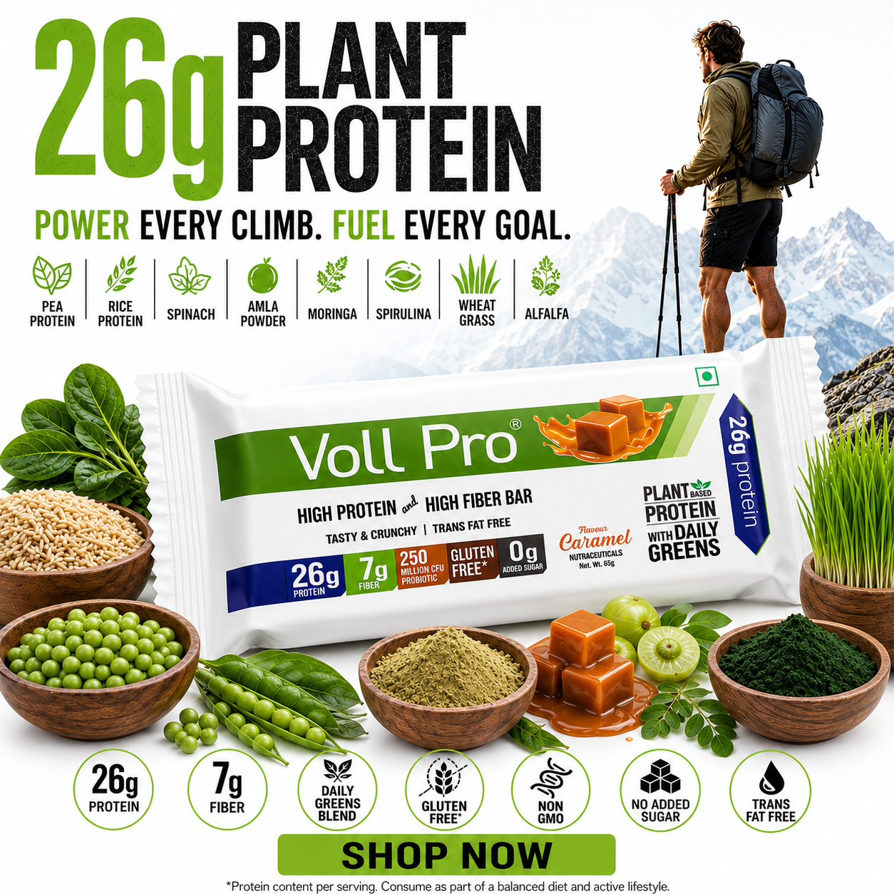 Plant Protein 